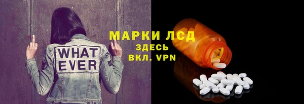 прущие грибы Нея