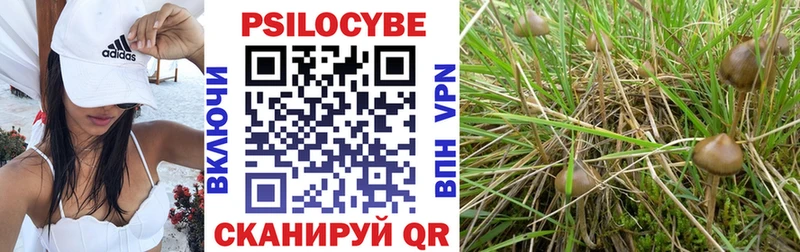 даркнет официальный сайт Нестеровская Галлюциногенные грибы Psilocybine cubensis